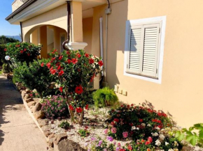 Casa Vacanze Dolce Hibiscus Olbia